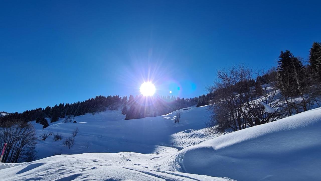 Bed and Breakfast Chesa Prema Disentis Exterior foto